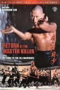 Return to the 36th Chamber (1980) Hindi Dubbed Movie